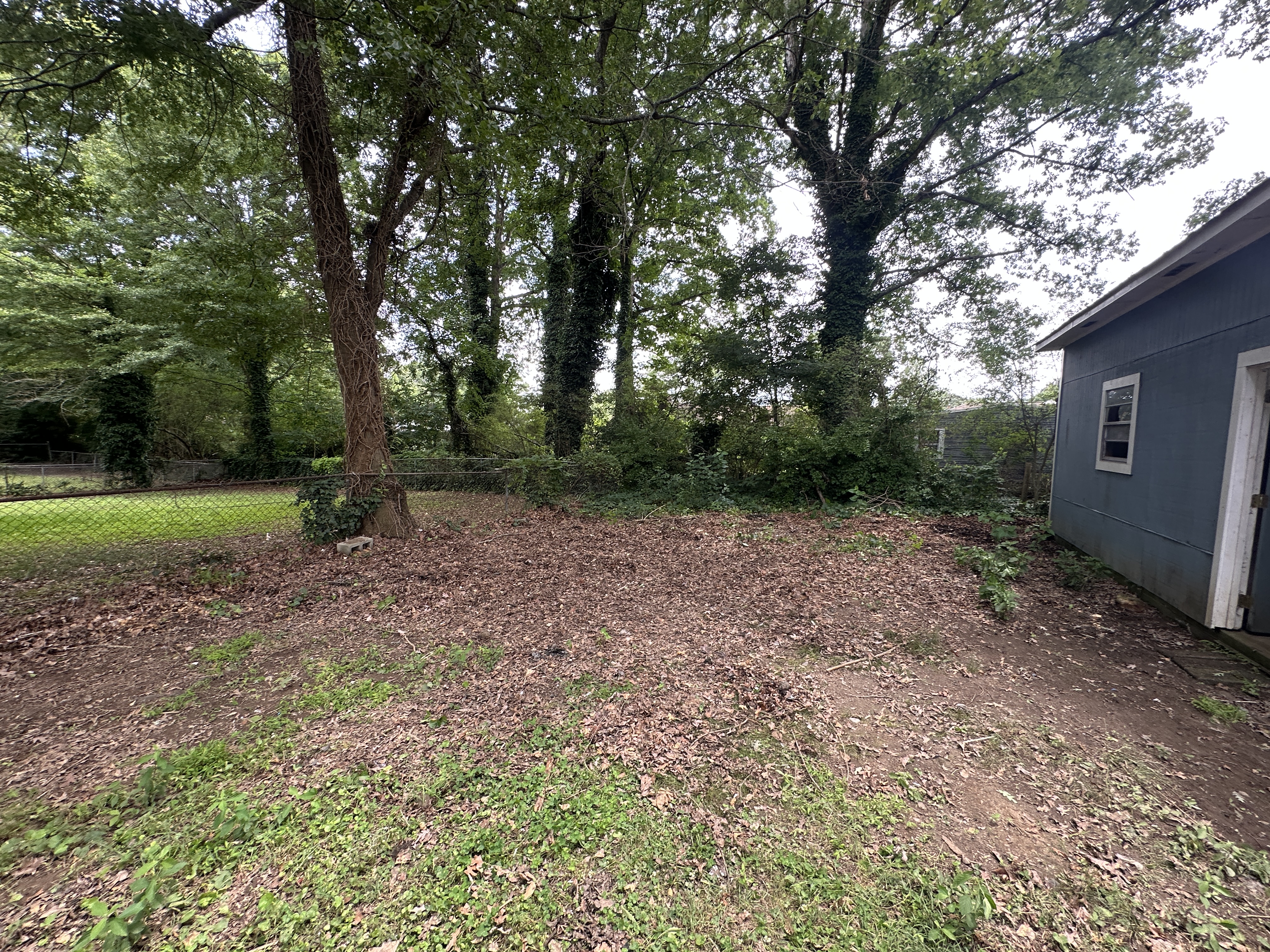 Yard Debris & Waste Cleanup - After